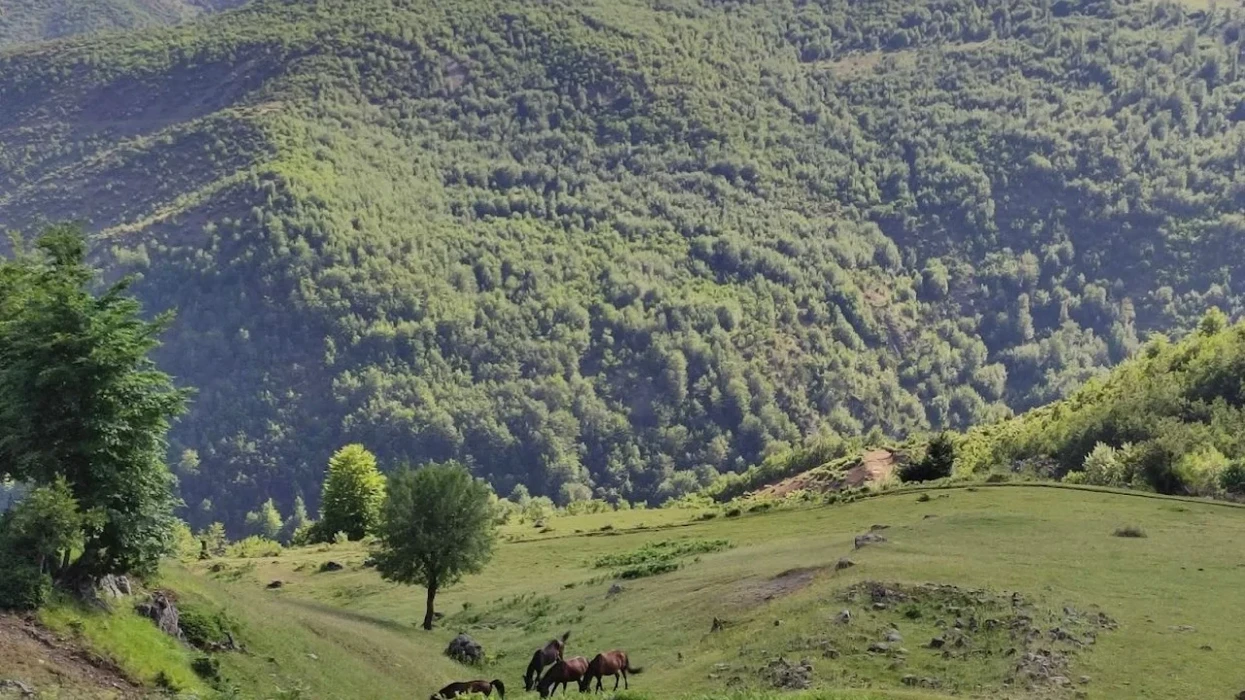 Zhduken dy turistë gjermanë në malin e Polisit në Librazhd, asnjë gjurmë që prej mbrëmjes së djeshme