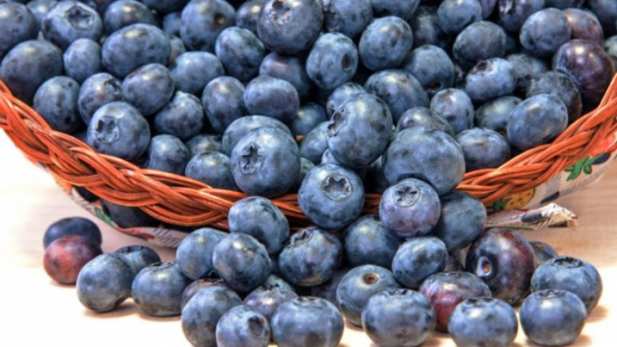 Boronica është fruti më i shëndetshëm në botë, ja arsyet