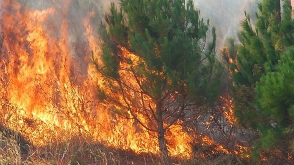 QMK: 14 vatra zjarri aktive në gjithë Maqedoninë
