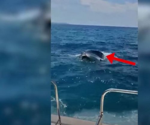 Dy turistë ukrainas shpëtohen në Ksamil, varka e tyre po fundosej nga moti i keq [Video]