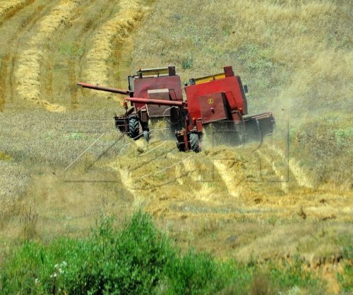 Vazhdojnë përgatitjet, fermerët dhe ekspertët presin rendimente të larta nga korrjet