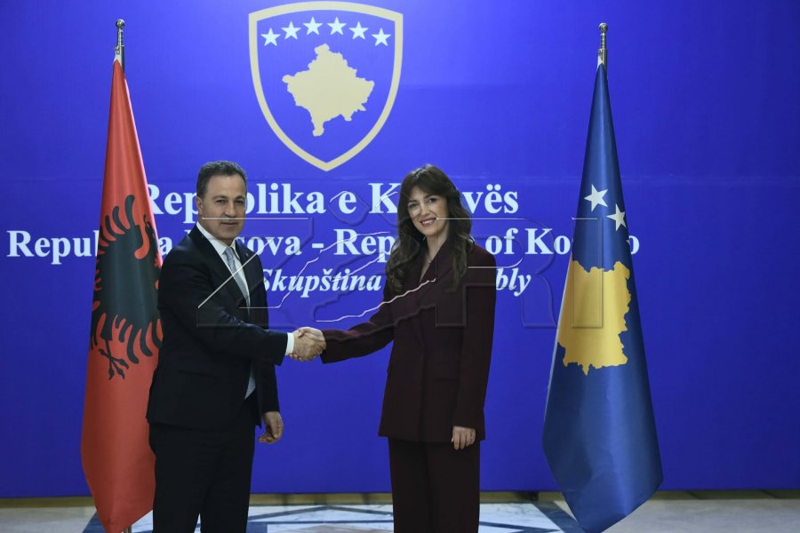 Kryeparlamentarja Haxhiu pret në takim homologun shqiptar, Peleshi