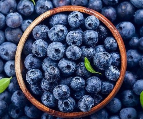 Vetitë shëruese të boronicave