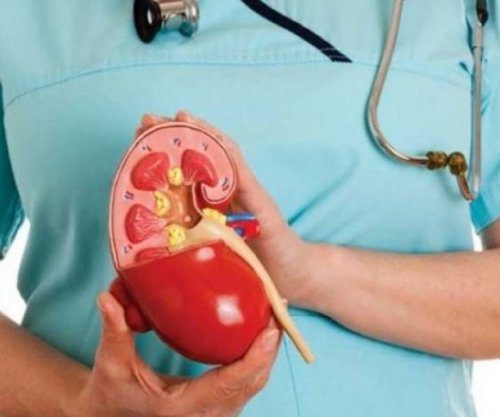 Prishtina shënon Ditën Botërore të Veshkës me aktivitete ndërgjegjësuese