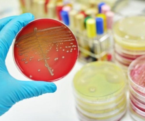 Bakteret ushqimore si Salmonella dhe Kampilobakteri, po bëhen rezistente ndaj antibiotikëve në Evropë