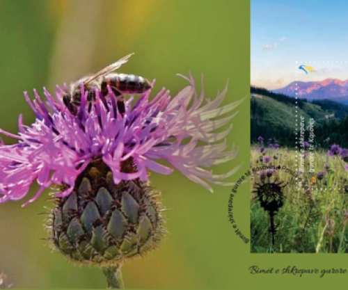 Bimët e shkrepave gurore të Kosovës në pulla postare