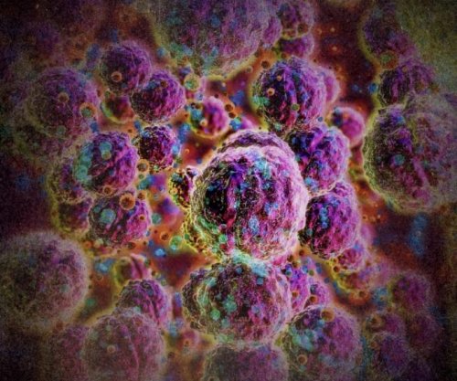 Meningjiti: Simptomat dhe mënyrat e përhapjes