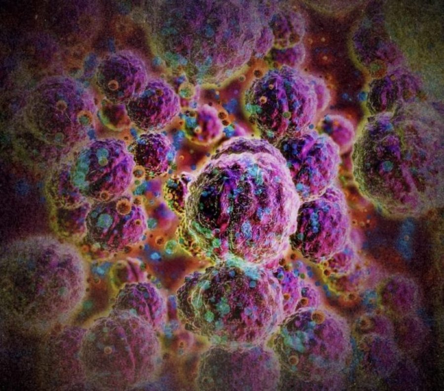 Meningjiti: Simptomat dhe mënyrat e përhapjes