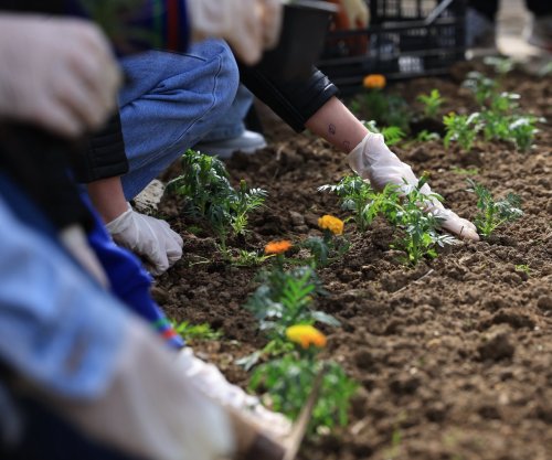 Rama me fëmijët e Prishtinës mbjellin lule në ditën e parë të Pranverës