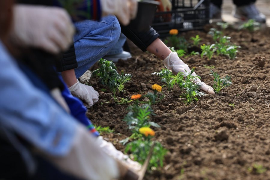 Rama me fëmijët e Prishtinës mbjellin lule në ditën e parë të Pranverës