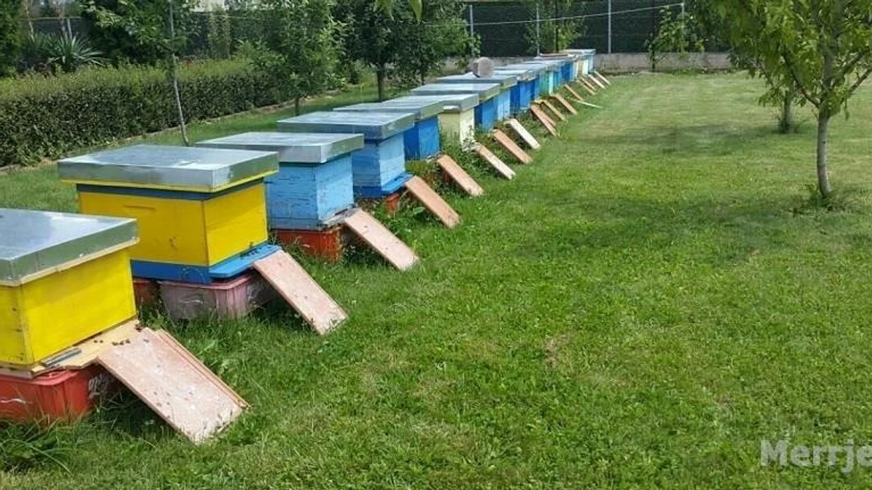 Kosheret e bletëve vjedhen në Zveçan, policia nis hetimet