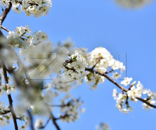 Moti për ditën e sotme