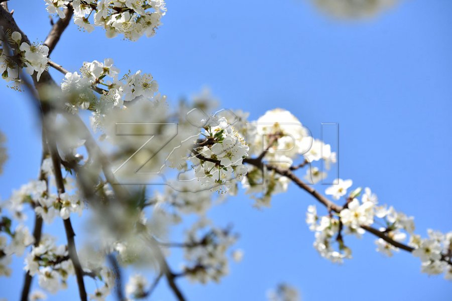 Sot, temperaturat deri në 19 gradë