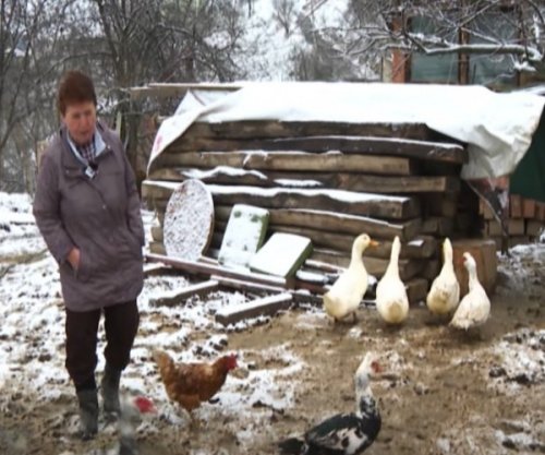 Gruaja që nuk e njeh pensionin, lë Zvicrën dhe hap fermë në Kosovë