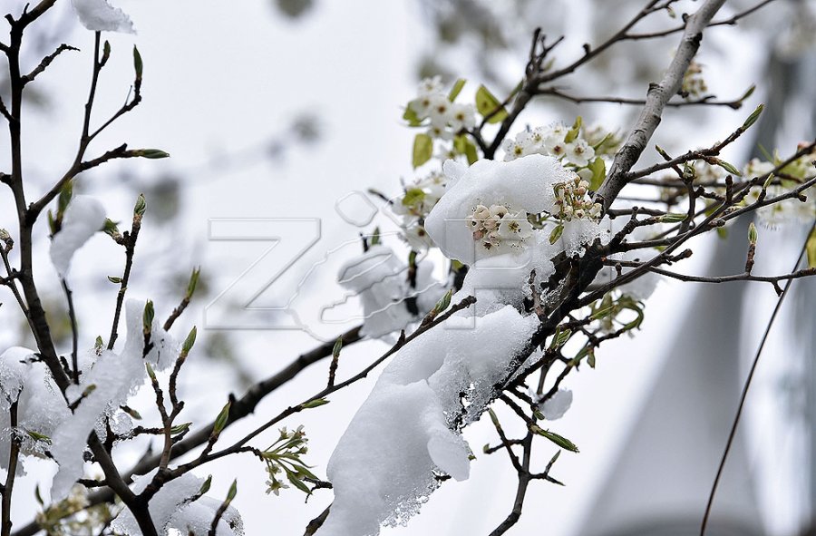 Rikthehet i ftohti, pritet ndryshim i fortë i motit brenda 24 orëve