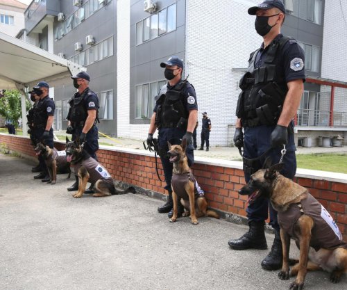 Policia rrit prezencën, K9 në terren para ndeshjes Kosovë - Turqi