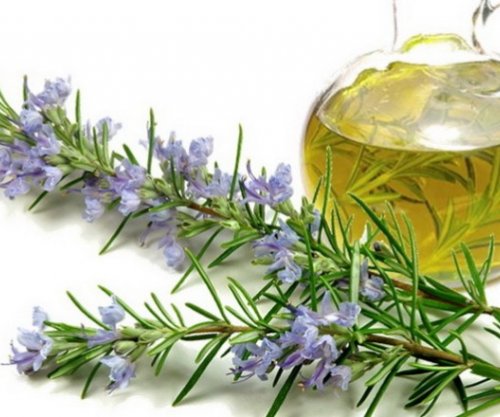 Çaji më i mirë shtëpiak për dobësim