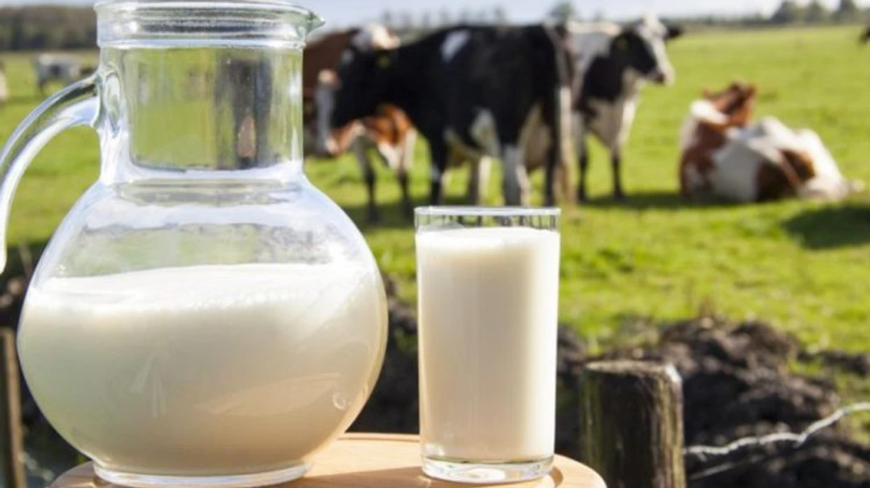 Publikohet lista e përfituesve të subvencioneve për fermerët e qumështit për gjashtëmujorin e dytë 2025 në Kamenicë