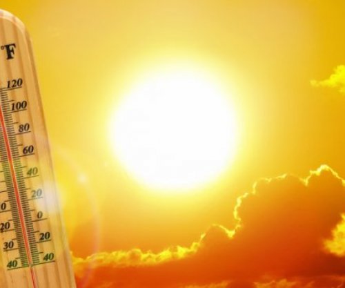 I nxehti ekstrem mund të shkaktojë dështimin e organeve brenda 15 minutave