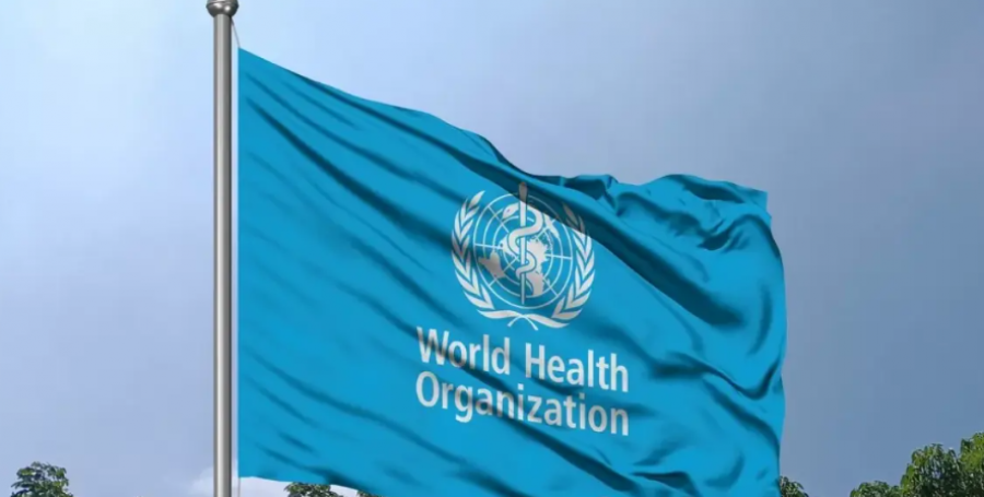 OBSH: Hantavirusi nuk është as fillimi i një epidemie dhe as i një pandemie, por duhet kujdes