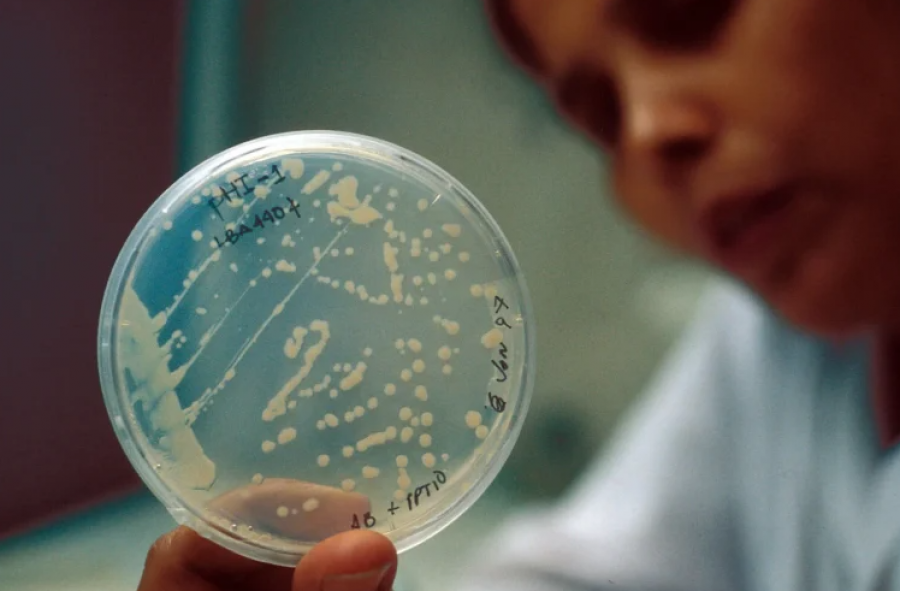 Antibiotikët nuk rrisin rrezikun për sëmundjen celiake