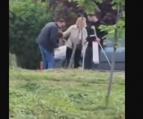 Qentë endacakë sulmojnë një grua në oborrin e QKUK-së [video]