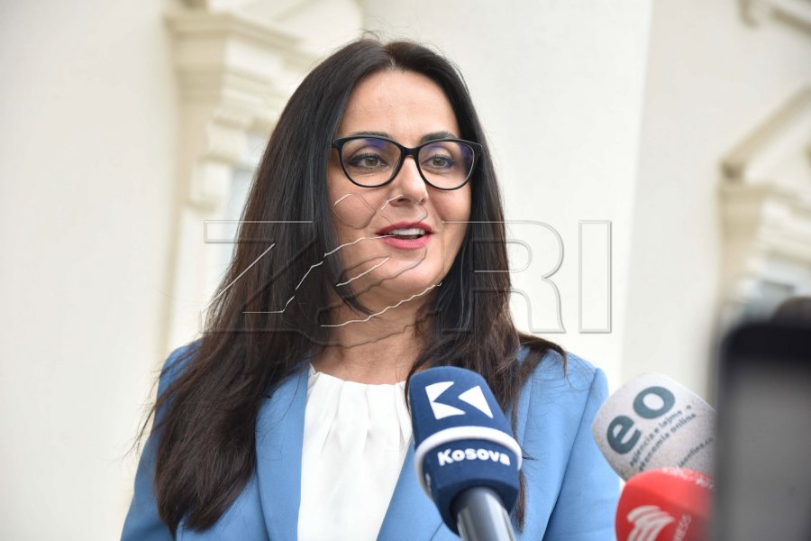 Lushaku-Sadriu: Mbledhja e sotme, moment bashkimi për LDK-në