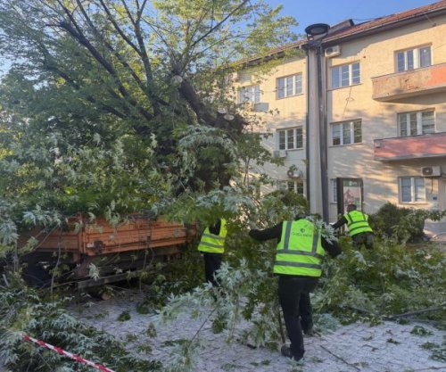 17 intervenime në Prishtinë e Fushë Kosovë nga erërat e forta