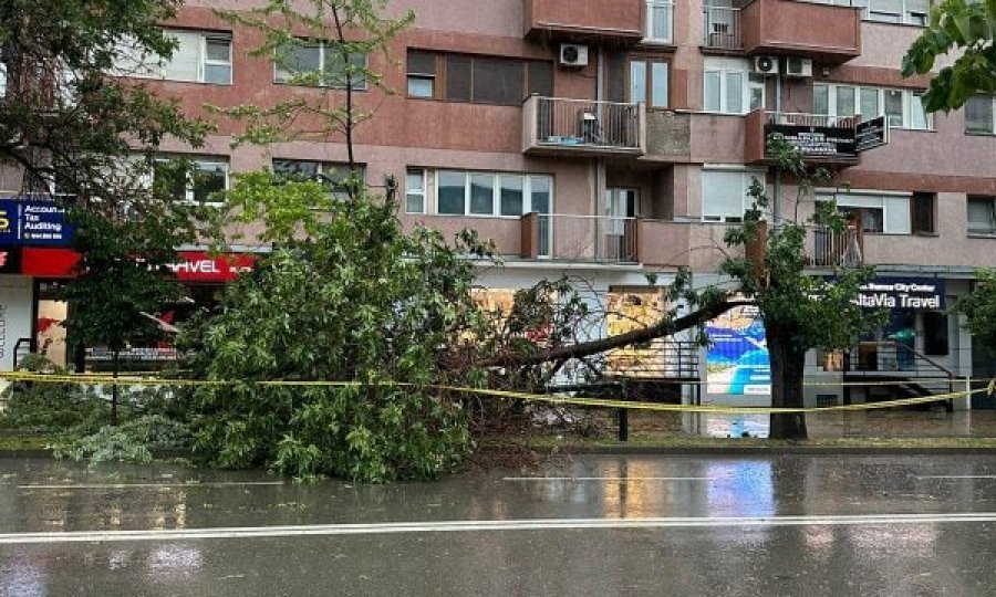 Erëra të forta, Komuna thirrje qytetarëve: Kujdes kur ecni në parqe dhe gjatë parkimit të veturës afër pemëve