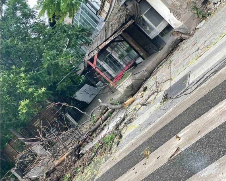 Paralajmërimi për erëra të forta, Fushtica: Nuk ka vend për panik