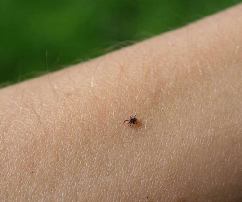 Rriqrat dhe rreziku për shëndetin gjatë verës, Sherifi: Me rritjen e temperaturave ato aktivizohen