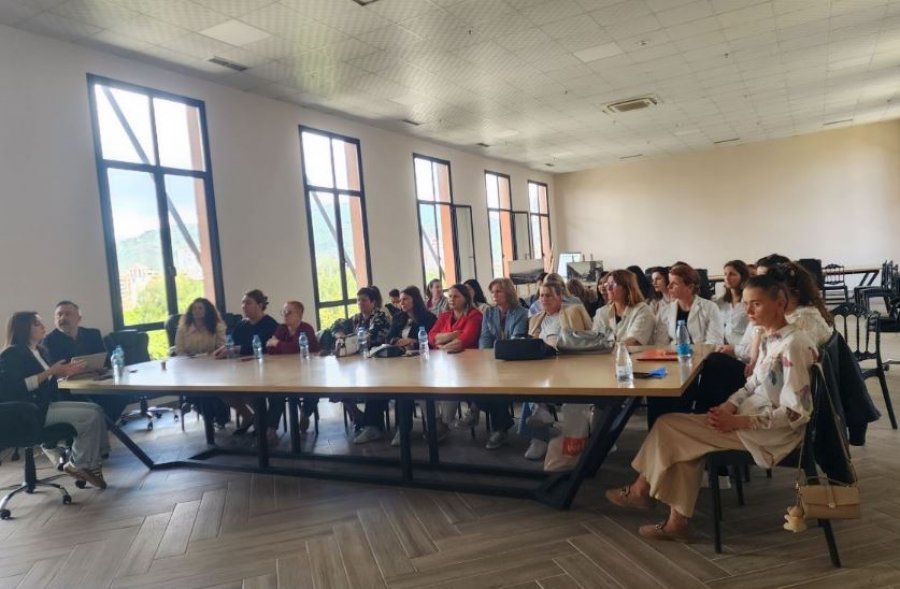UNICEF-i me mbështetjen organizon trajnim me 30 edukatore të kopshteve nga Elbasani