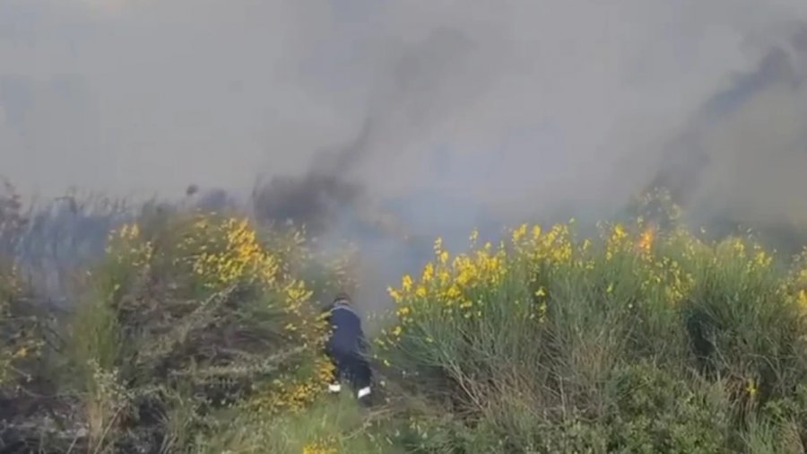 Zjarr në Vlorë, era e fortë përhap me shpejtësi flakët në kodra dhe zonat me ullishte