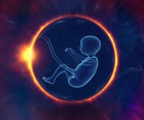 Si ndikojnë fibromat e mitrës në fertilitet?