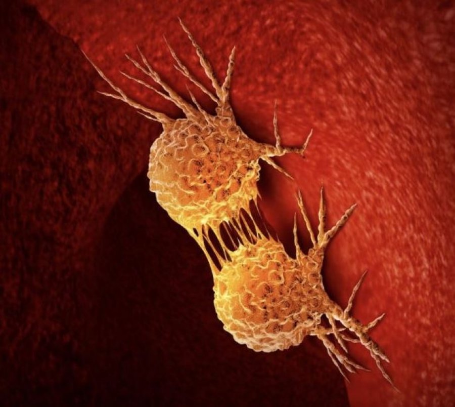 “Science”: Mungesa e vitaminës B7 mund të frenojë zhvillimin e tumoreve