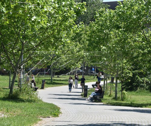 Shqiptarët ndër më të lodhurit emocionalisht në vendin e punës në Evropë, Kosova rekord