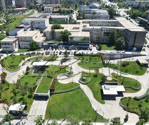 Ja çfarë studiojnë më së shumti të rinjtë në Kosovë