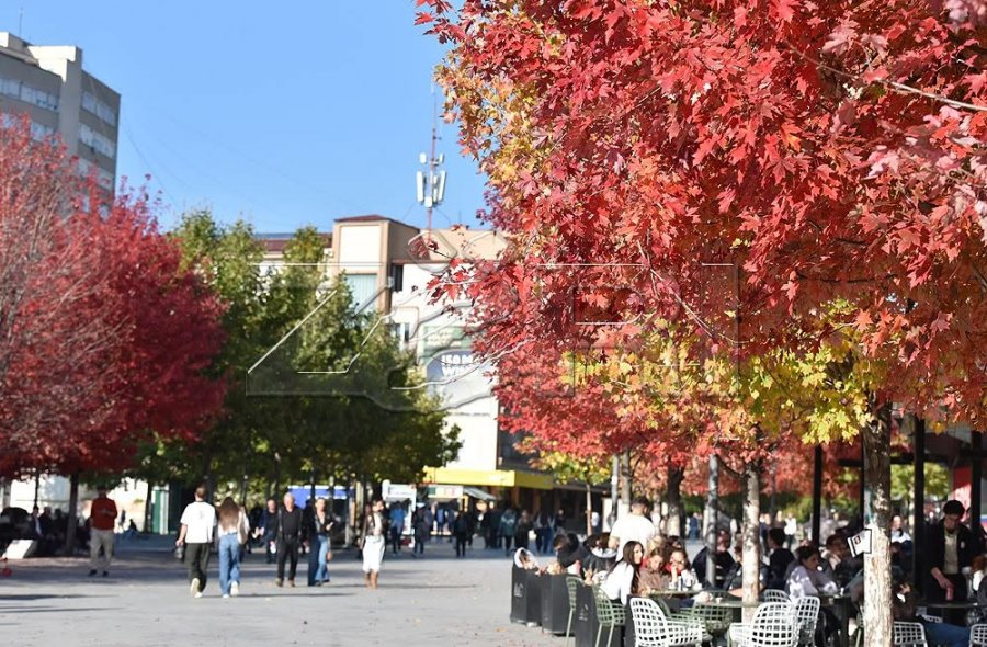 Sot, temperaturat deri në 14 gradë Celsius