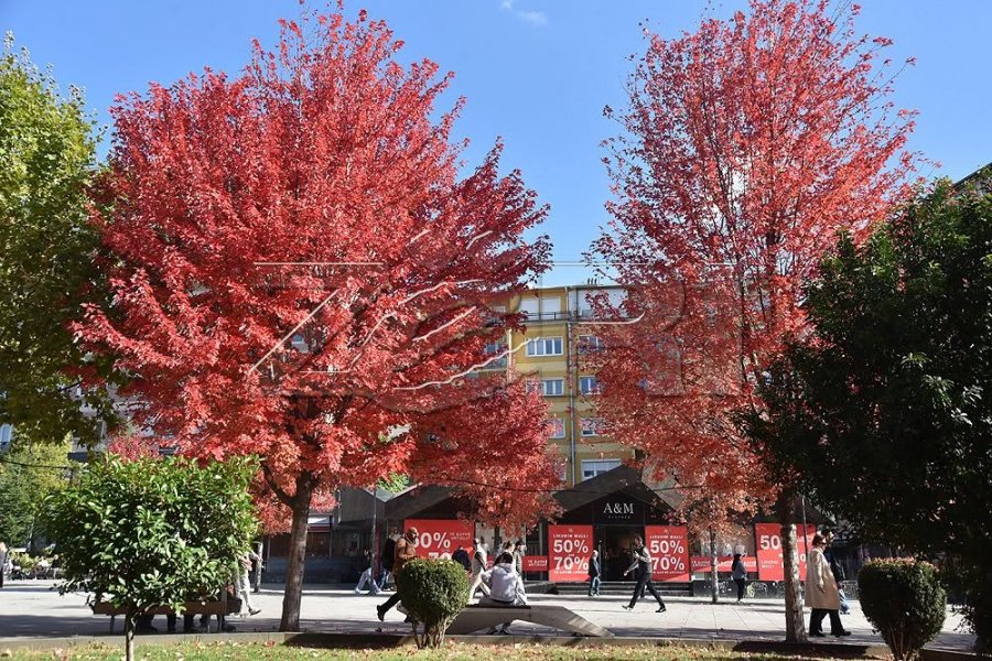 Temperaturat deri në 14 gradë sot