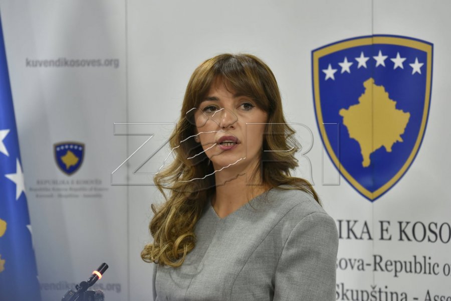 Haxhiu për vrasjen e Arlinda Zekajt: Alarm institucional, duhet të verifikohet nëse dështoi zinxhiri institucional
