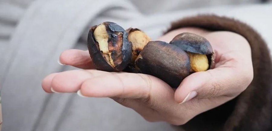 Gështenja mund të ndihmojë zemrën, tretjen dhe humbjen e peshës