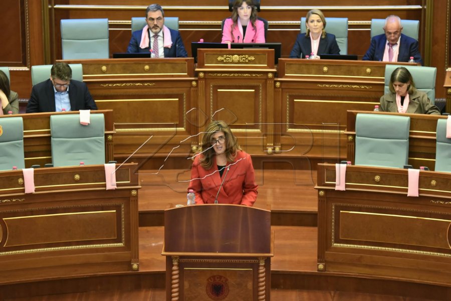 PDK-ja paraqet tri kërkesa për mbrojtjen e grave