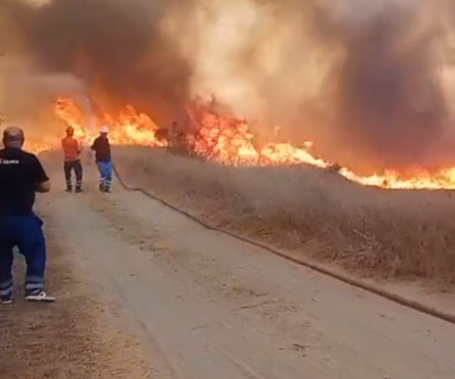 Zjarr pranë liqenit të Levanit, flakët i afrohen rrezikshëm disa lokaleve