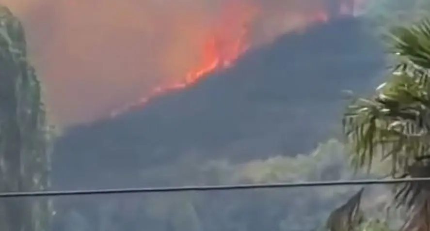 Përfshihen nga flakët kodrat në Shkodër, ndërhyrje edhe nga ajri