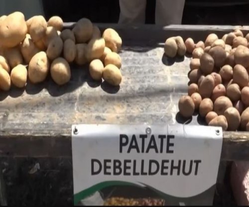 Prodhim ka, por blerësit mungojnë: Fermerët e Vitisë përballen me krizë në treg