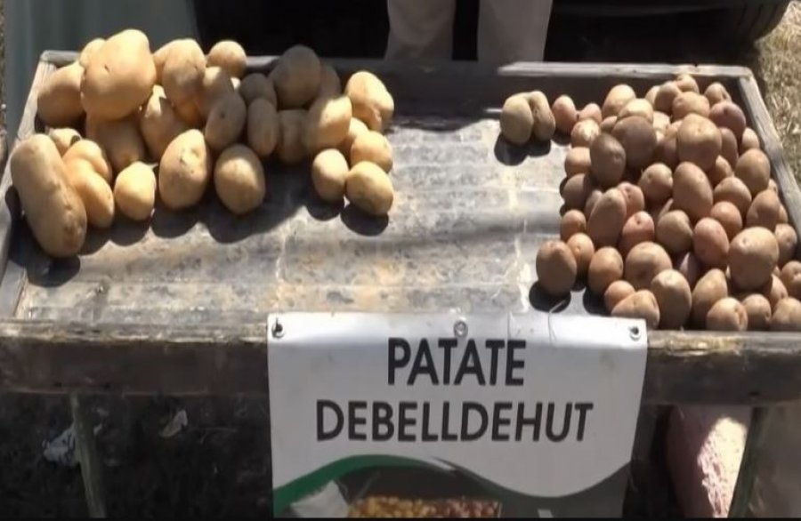 Prodhim ka, por blerësit mungojnë: Fermerët e Vitisë përballen me krizë në treg