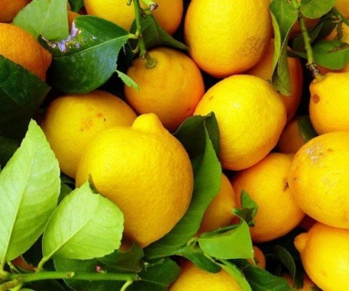 Ka shumë përfitime nga vendosja e një cope limoni pranë shtratit