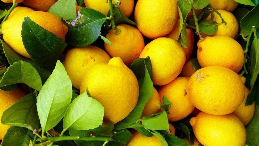 Ka shumë përfitime nga vendosja e një cope limoni pranë shtratit